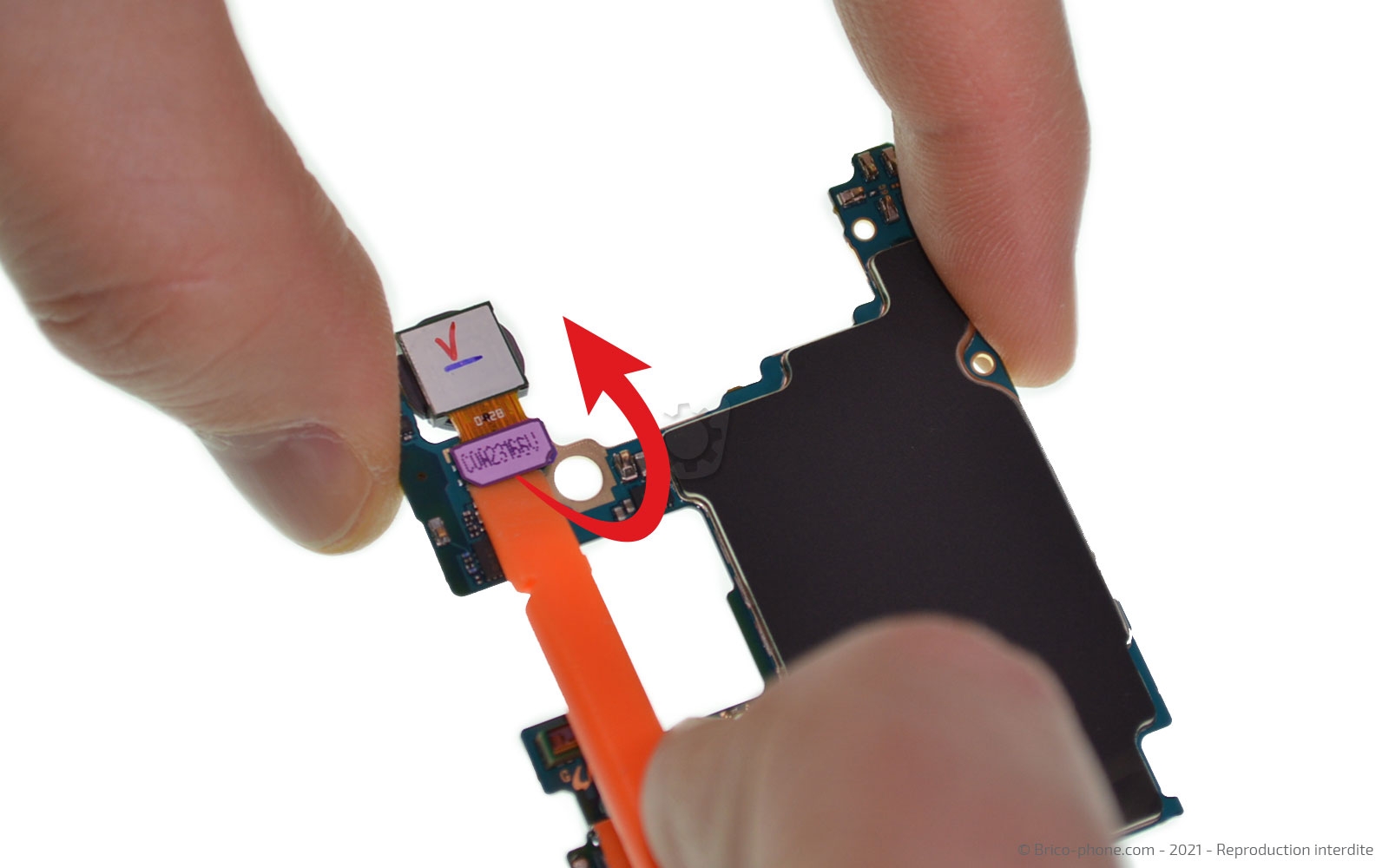 Démontage complet sur Galaxy S20 FE photo 3