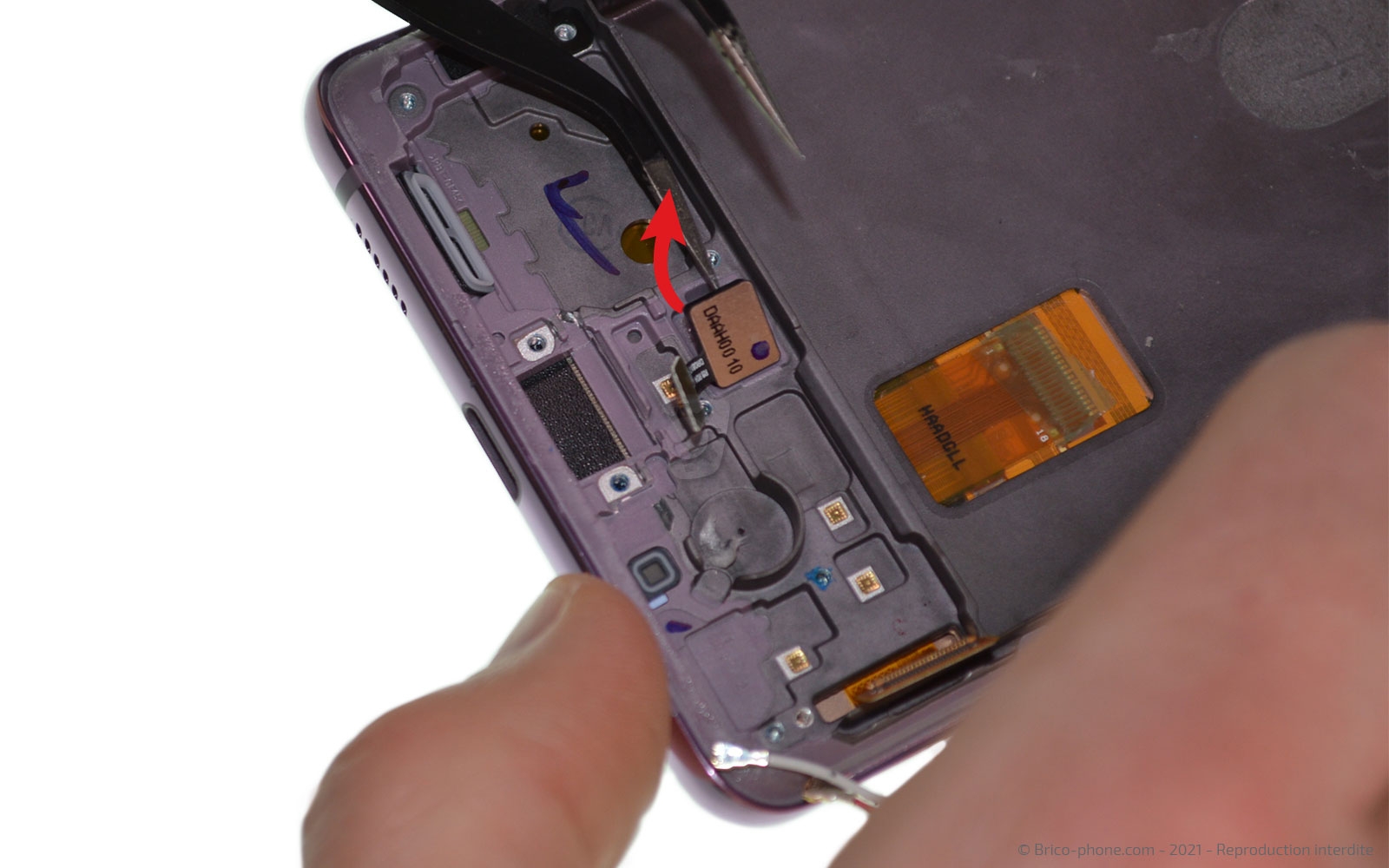 Démontage complet sur Galaxy S20 FE photo 3