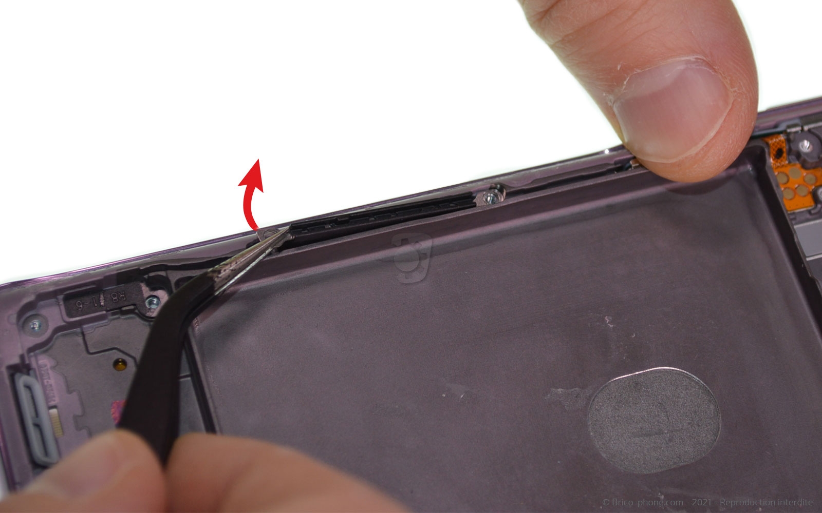 Démontage complet sur Galaxy S20 FE photo 2