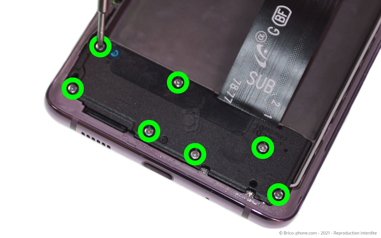 Démontage complet sur Galaxy S20 FE photo 1