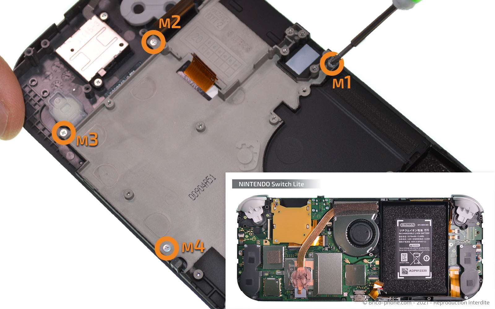 Démontage complet sur Switch Lite photo 1