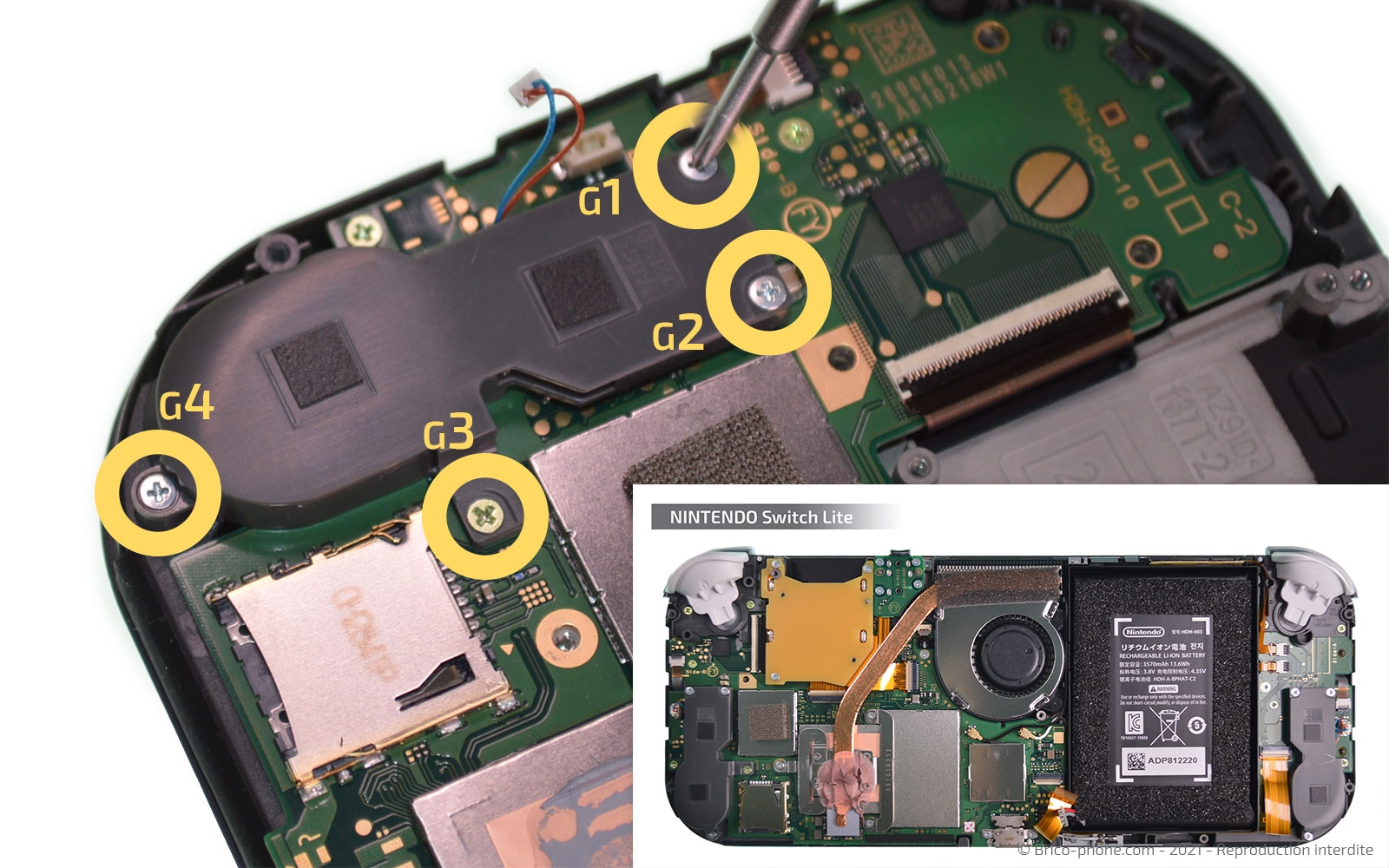 Démontage complet sur Switch Lite photo 4