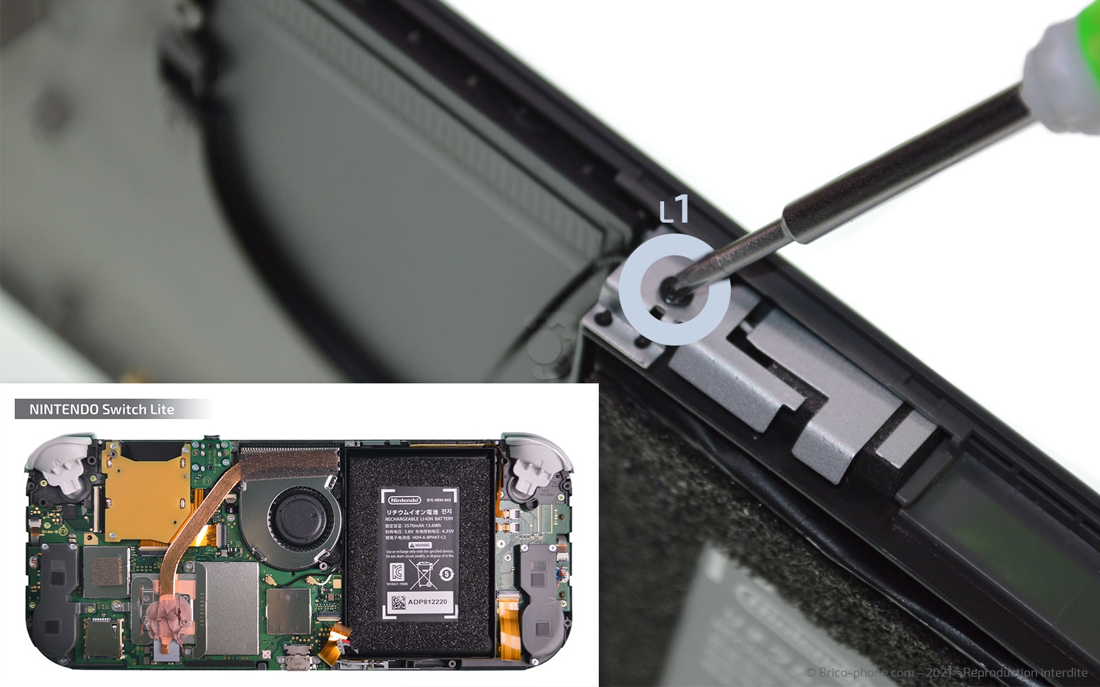 Démontage complet sur Switch Lite photo 1