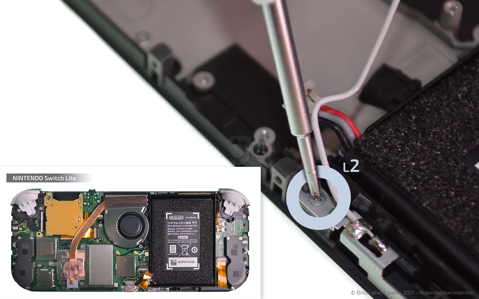 Démontage complet sur Switch Lite photo 2