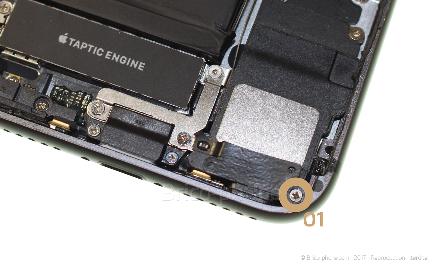 Démontage complet sur iPhone 8 photo 1