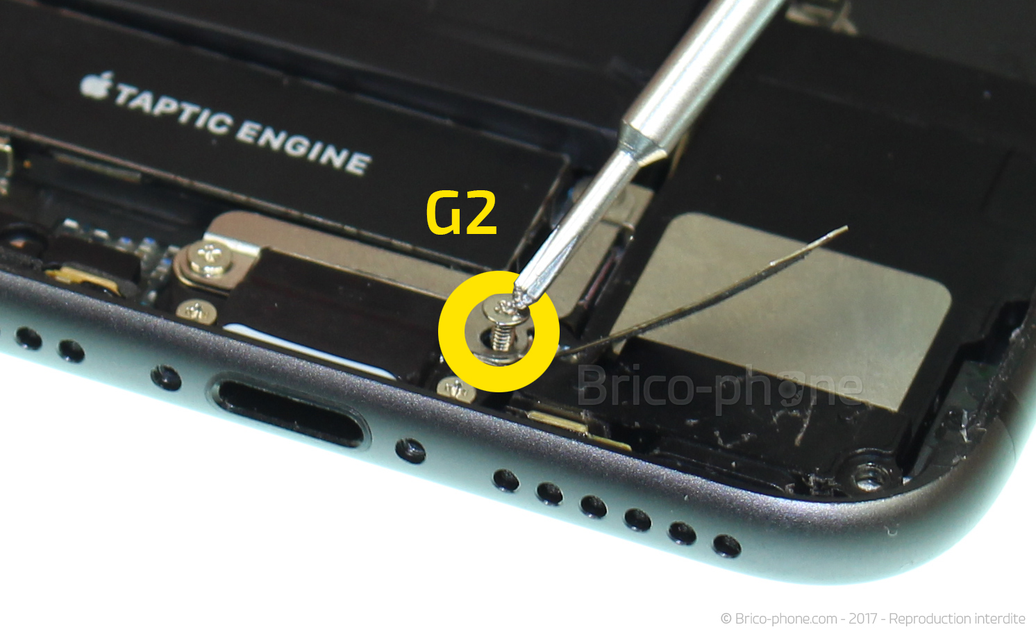 Démontage complet sur iPhone 8 photo 2