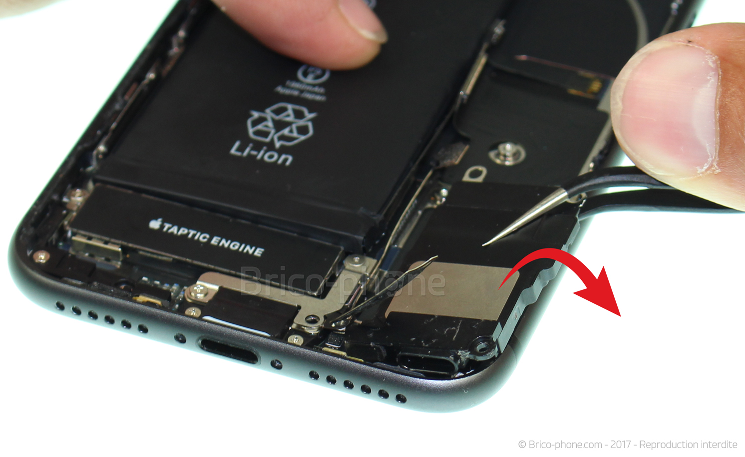 Démontage complet sur iPhone 8 photo 3