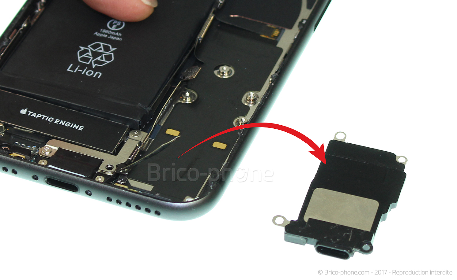 Démontage complet sur iPhone 8 photo 4