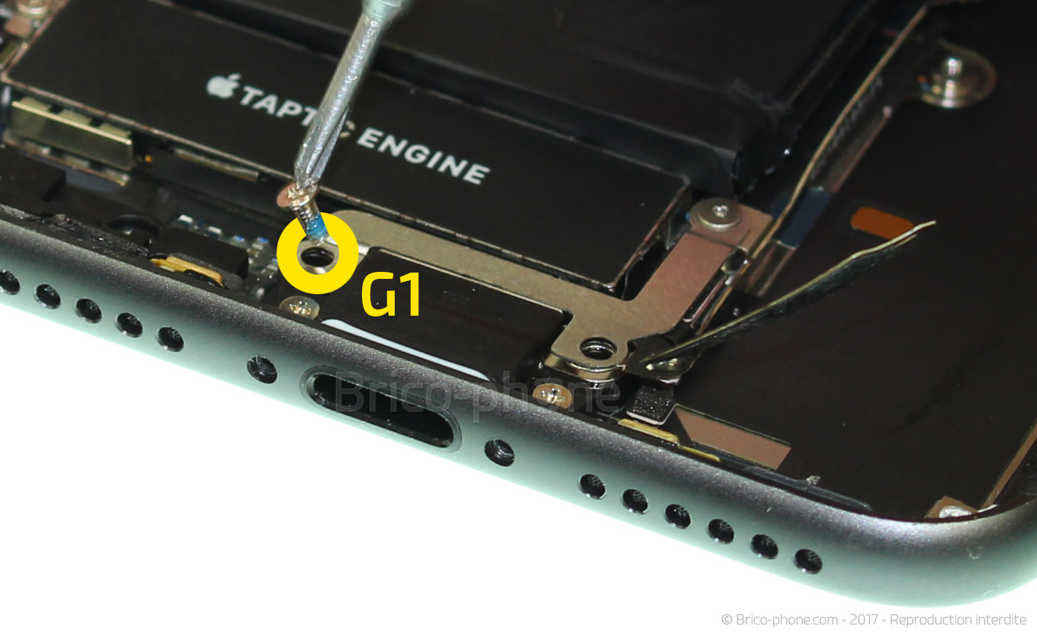 Démontage complet sur iPhone 8 photo 1