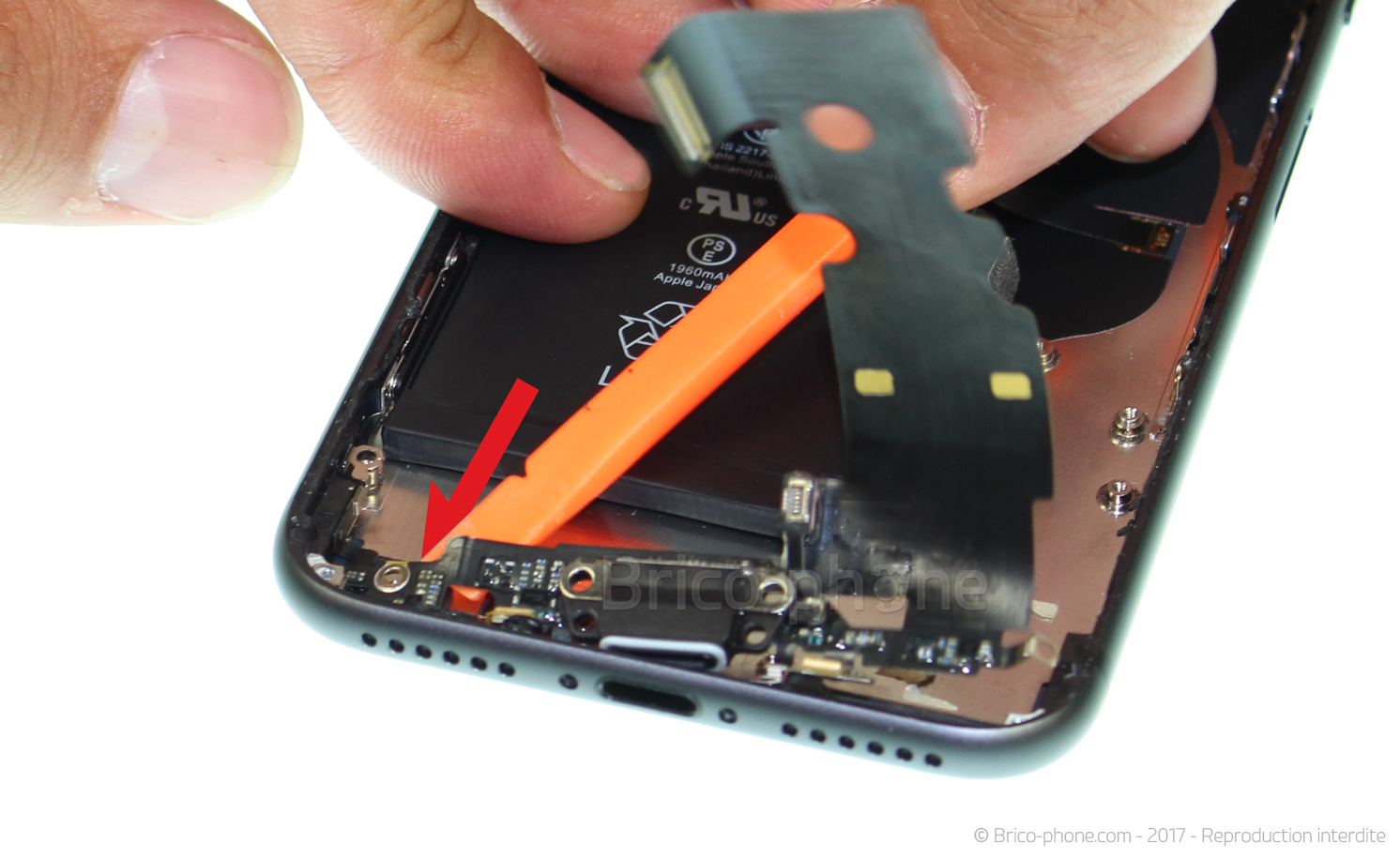 Démontage complet sur iPhone 8 photo 3