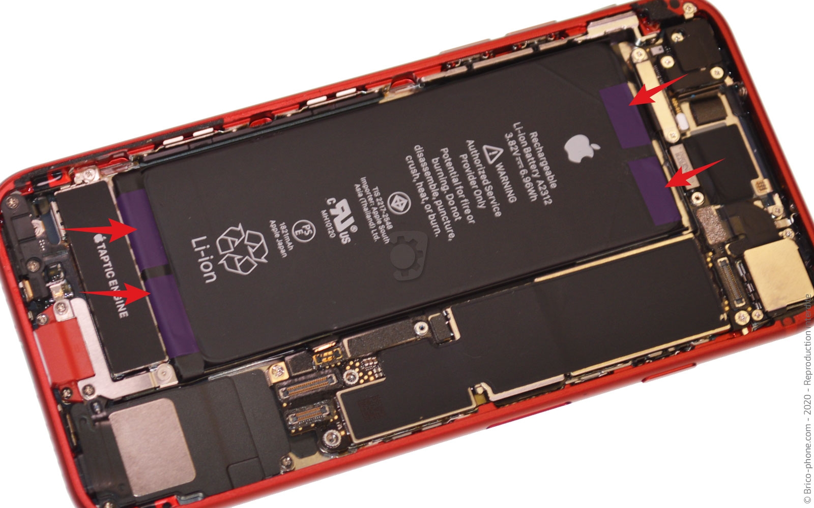 Remise à neuf sur iPhone 8 photo 1