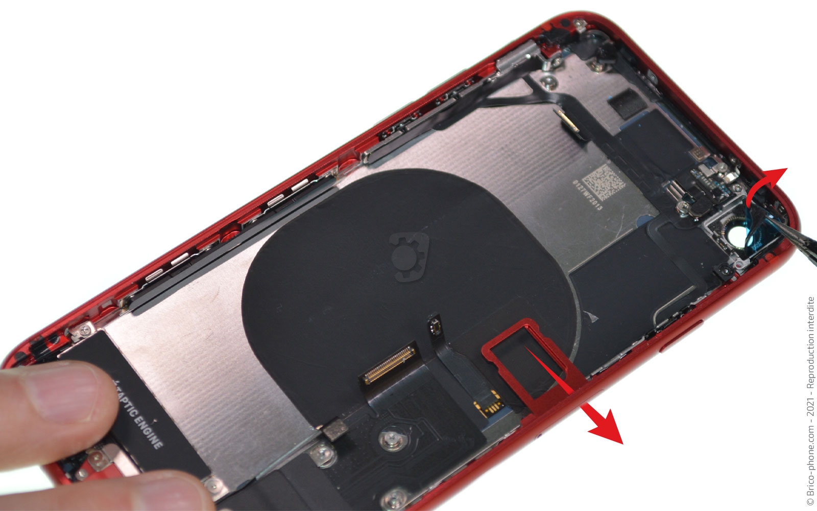 Remise à neuf sur iPhone 8 photo 1