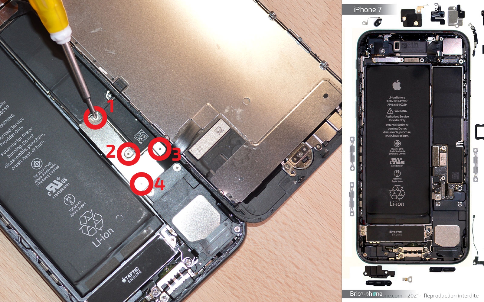 Changement de la coque arrière sur iPhone 7 photo 1