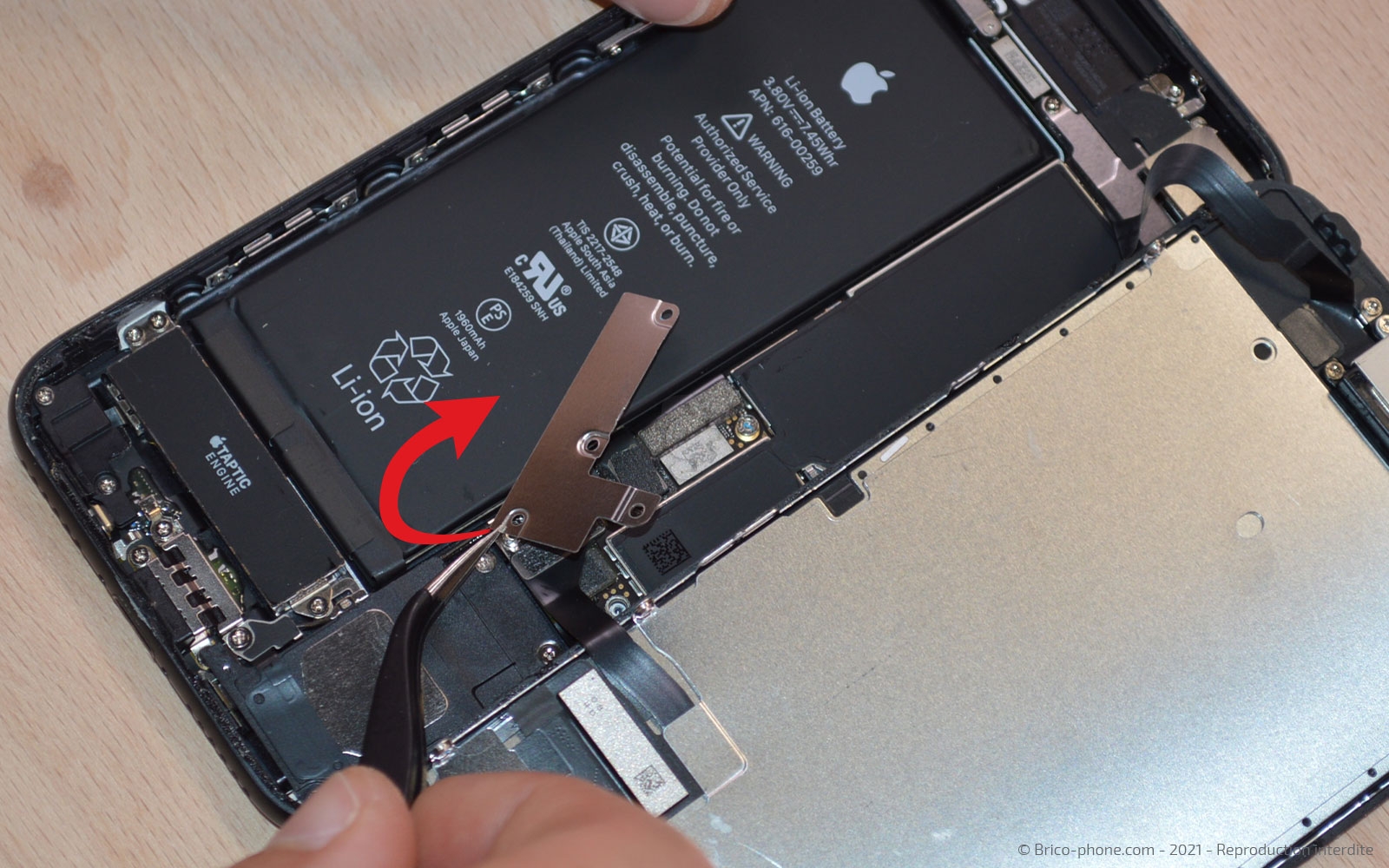 Changement de la coque arrière sur iPhone 7 photo 2