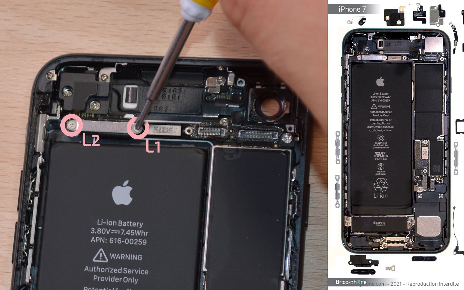 Changement de la coque arrière sur iPhone 7 photo 1