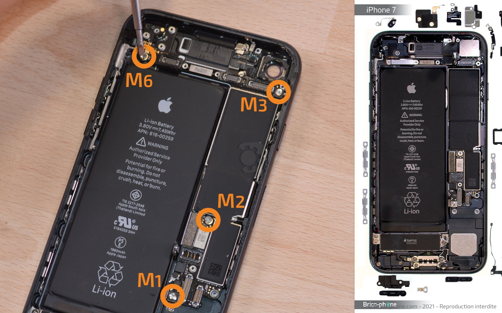 Changement de la coque arrière sur iPhone 7 photo 1