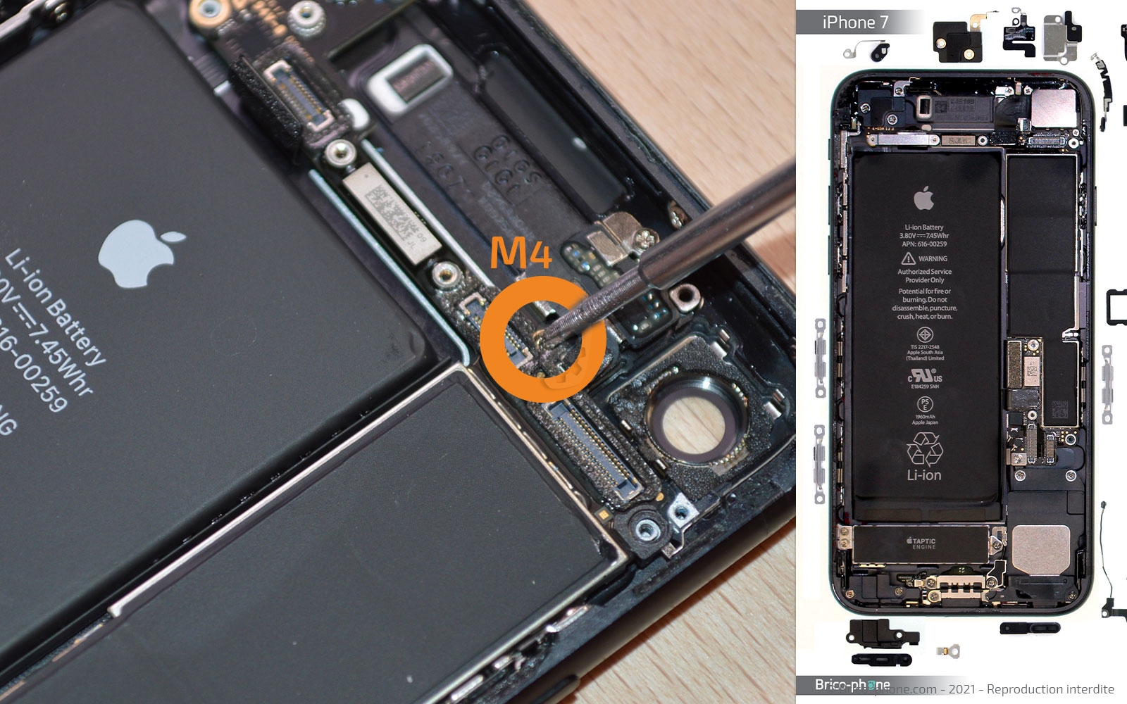 Changement de la coque arrière sur iPhone 7 photo 2