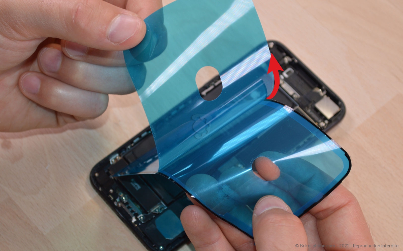 Changement de la coque arrière sur iPhone 7 photo 1