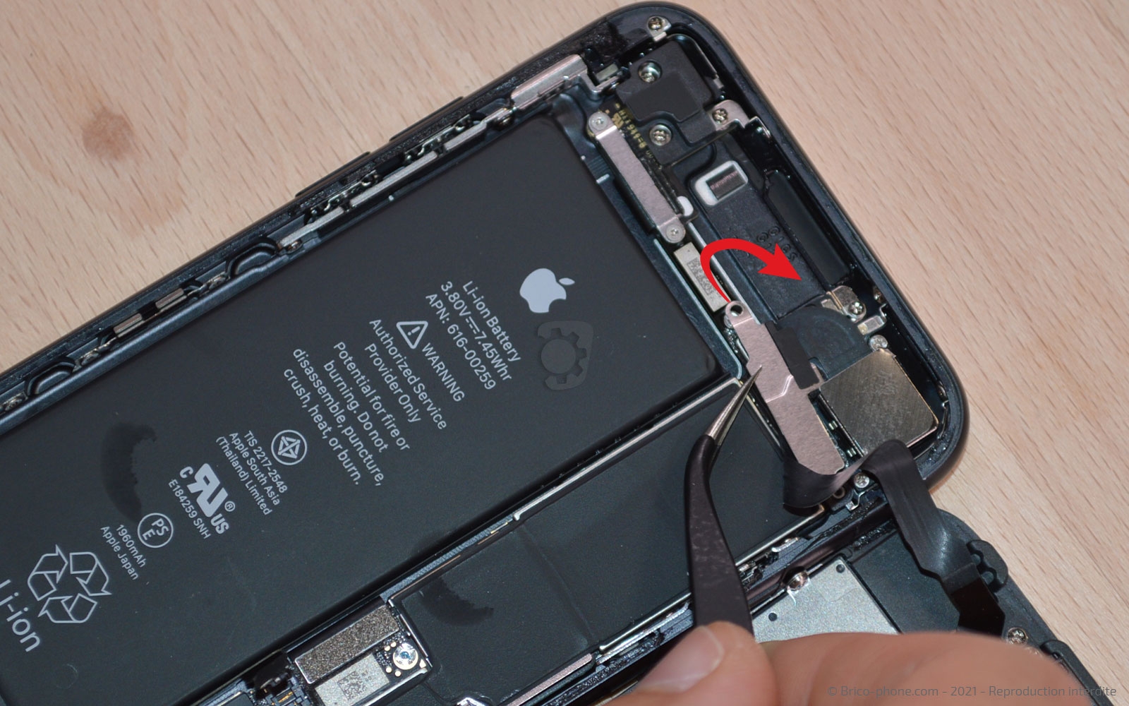 Changement de la coque arrière sur iPhone 7 photo 2