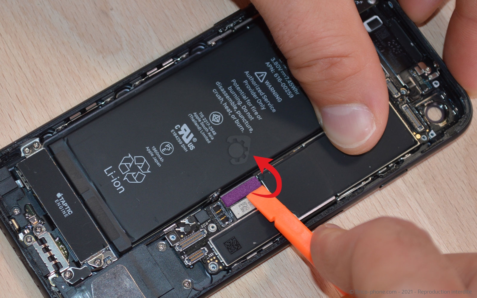 Changement de la coque arrière sur iPhone 7 photo 4