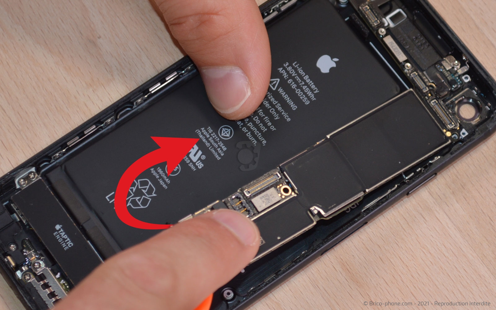 Changement de la coque arrière sur iPhone 7 photo 3