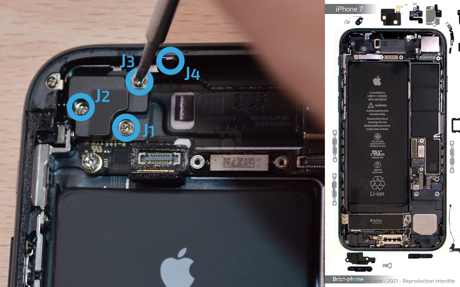 Changement de la coque arrière sur iPhone 7 photo 1