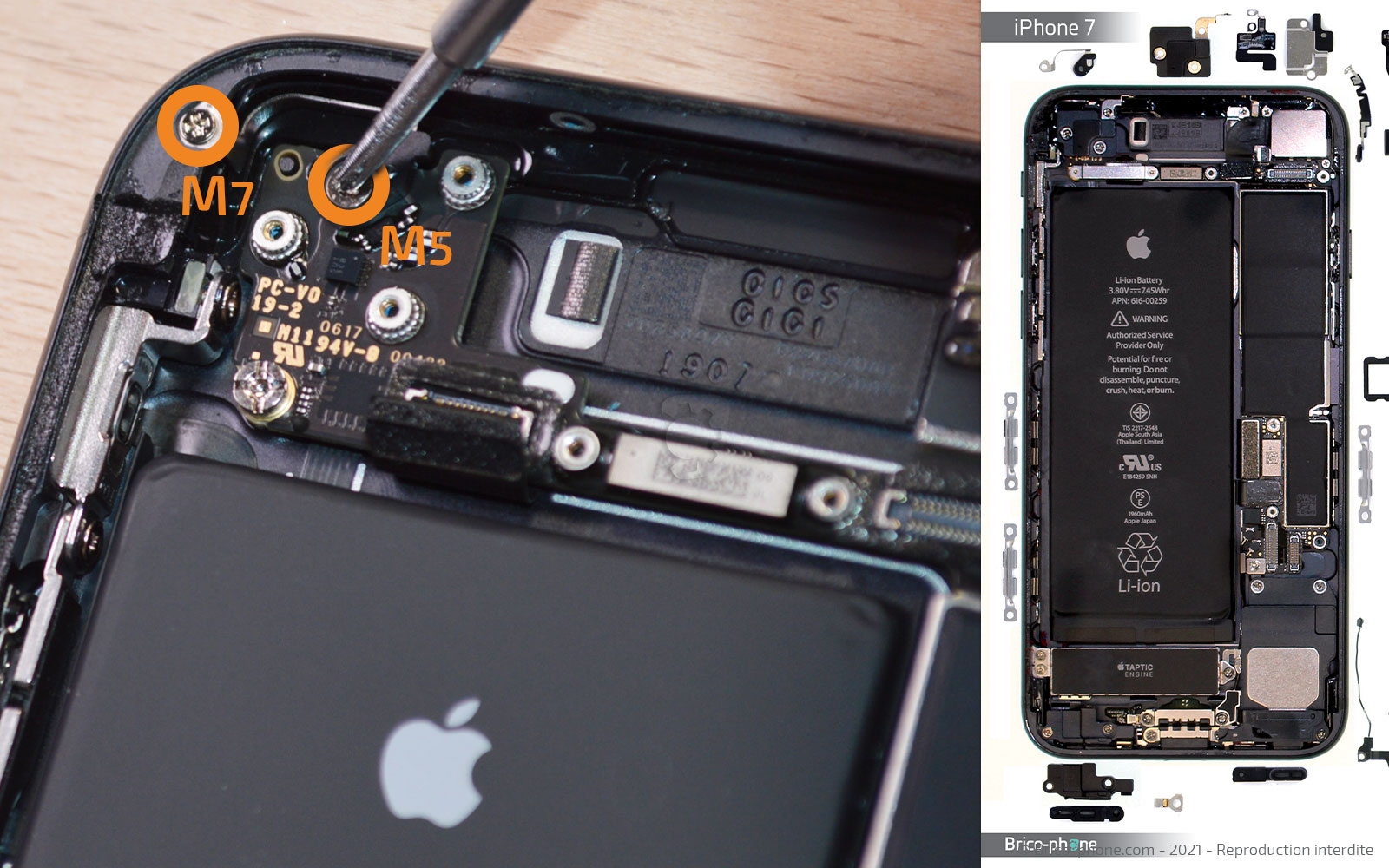 Changement de la coque arrière sur iPhone 7 photo 3