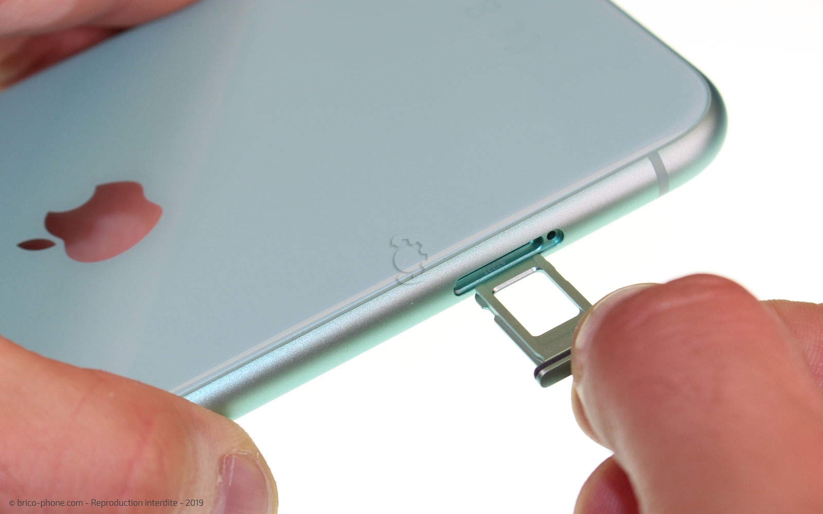 Changement de la coque arrière sur iPhone 11 photo 4