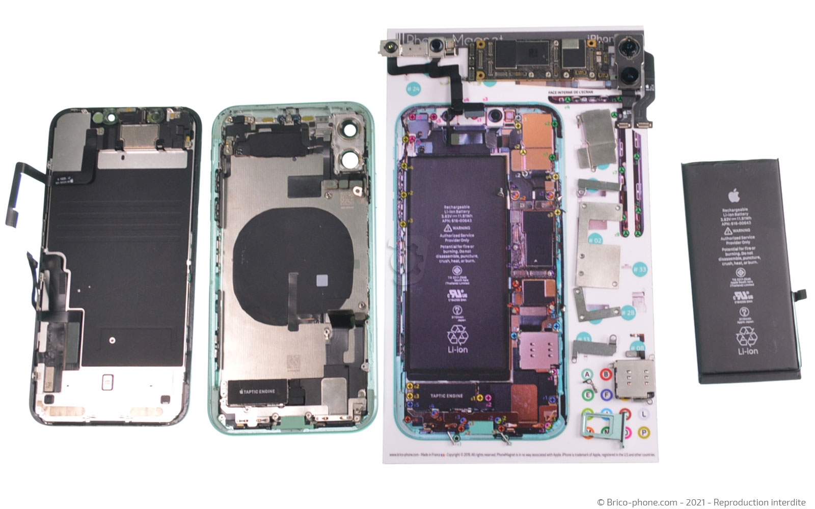 Changement de la coque arrière sur iPhone 11 photo 1