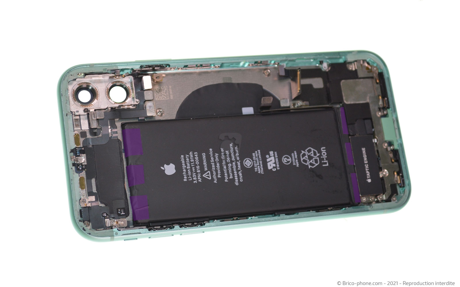 Changement de la coque arrière sur iPhone 11 photo 1