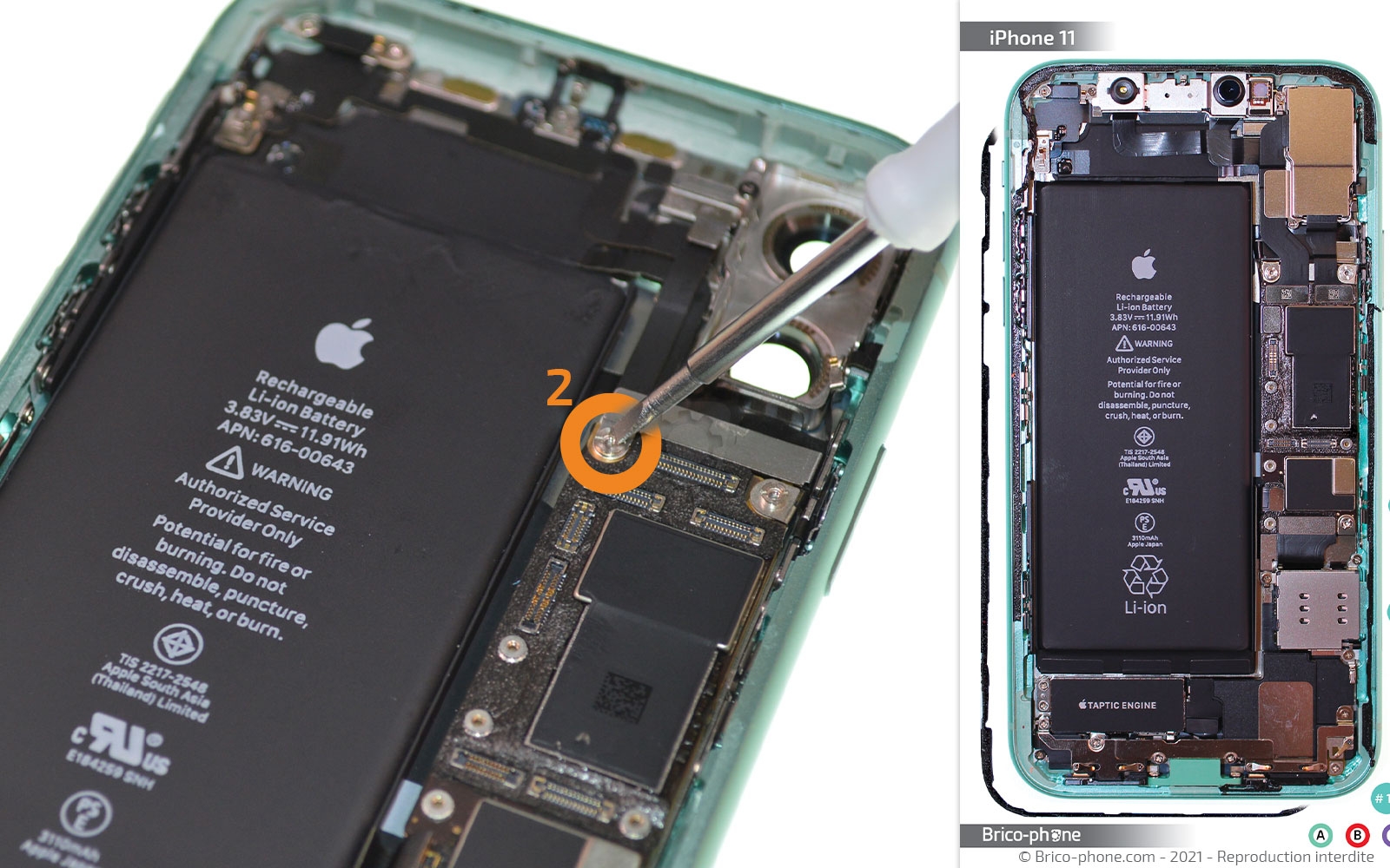 Changement de la coque arrière sur iPhone 11 photo 1