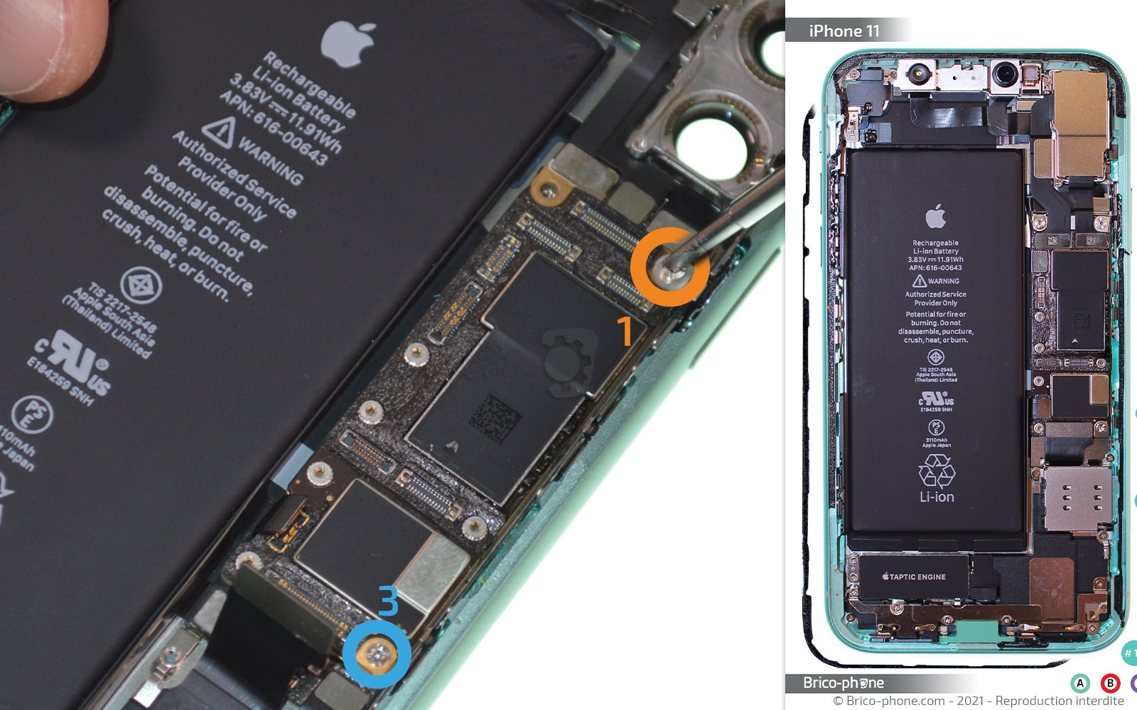 Changement de la coque arrière sur iPhone 11 photo 3