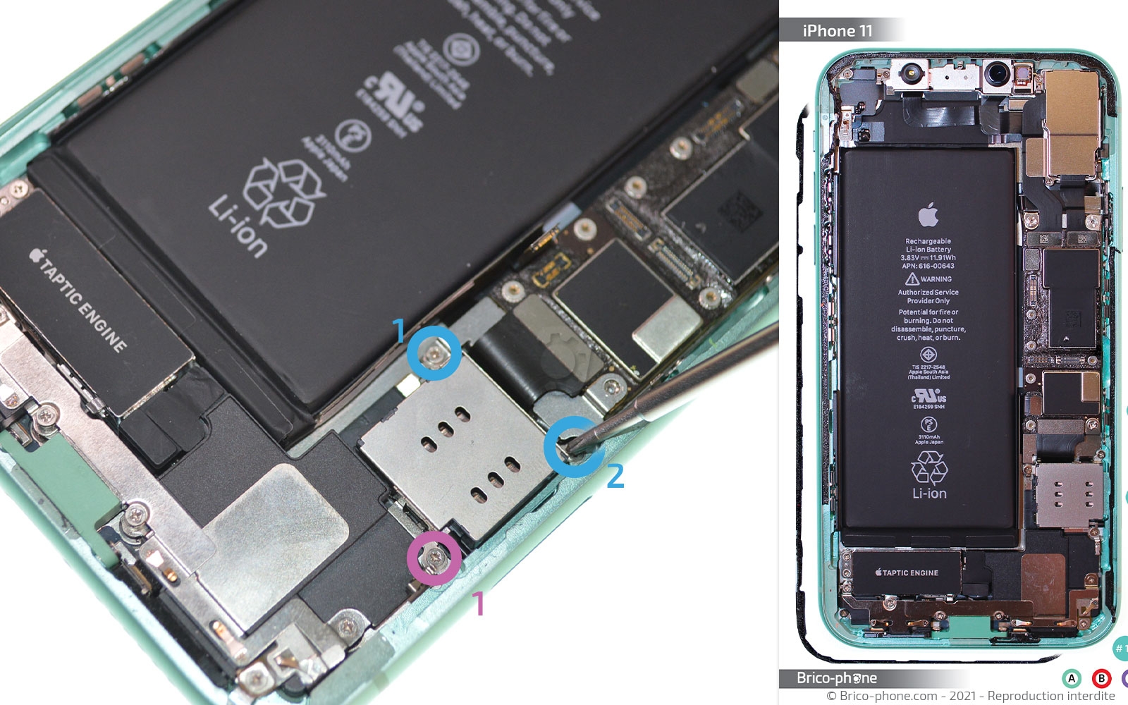 Changement de la coque arrière sur iPhone 11 photo 1