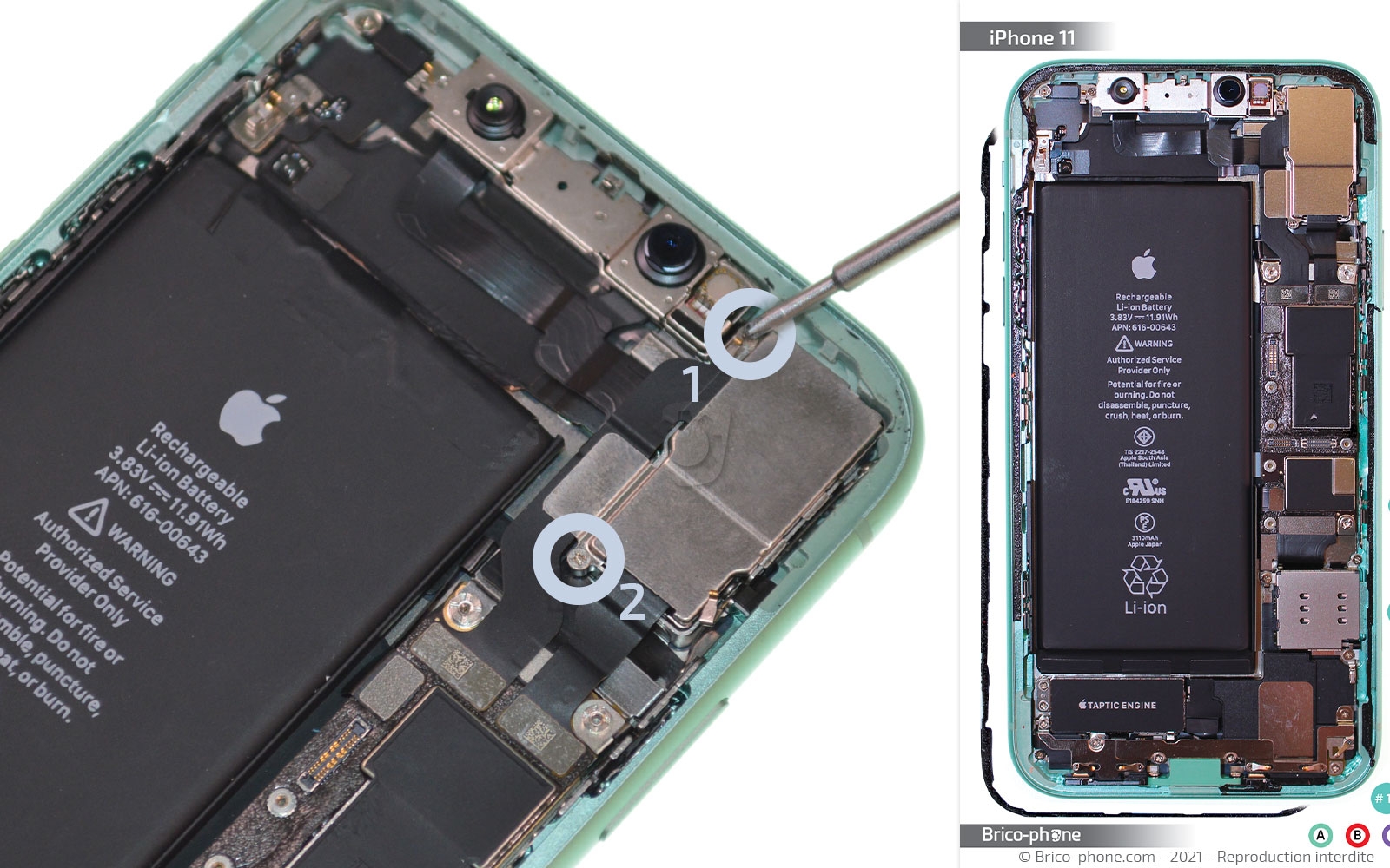 Changement de la coque arrière sur iPhone 11 photo 1