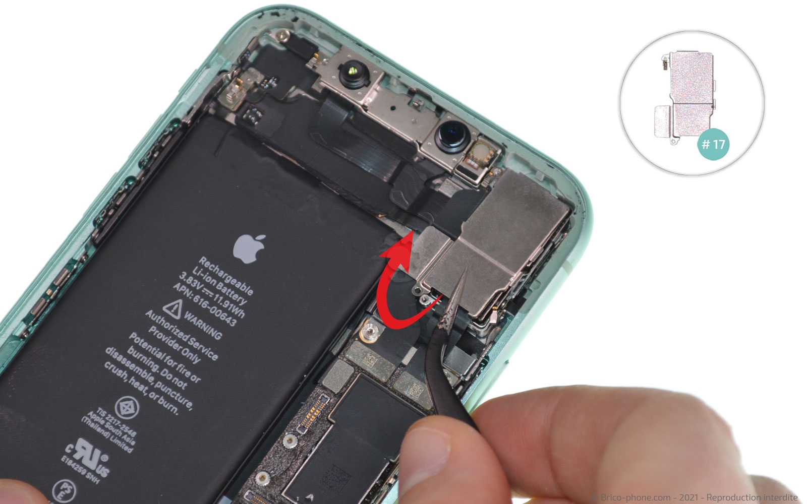 Changement de la coque arrière sur iPhone 11 photo 2