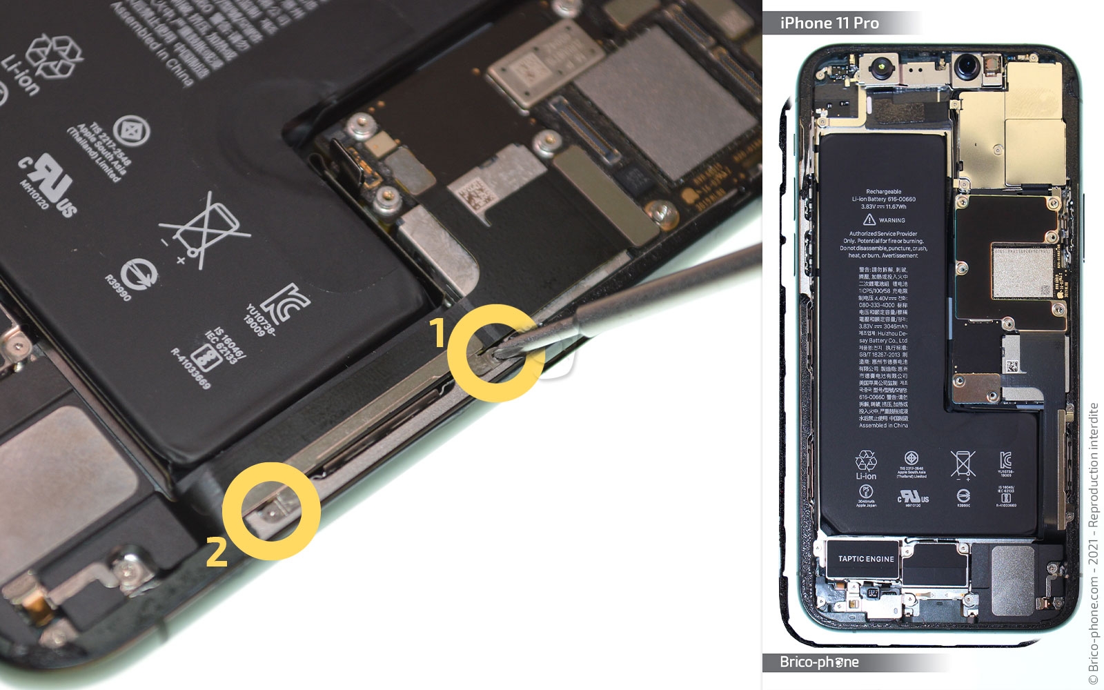 Changement de la coque arrière sur iPhone 11 Pro photo 1