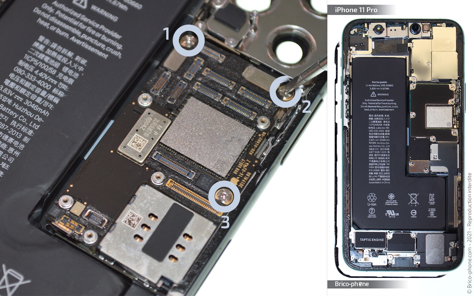 Changement de la coque arrière sur iPhone 11 Pro photo 1